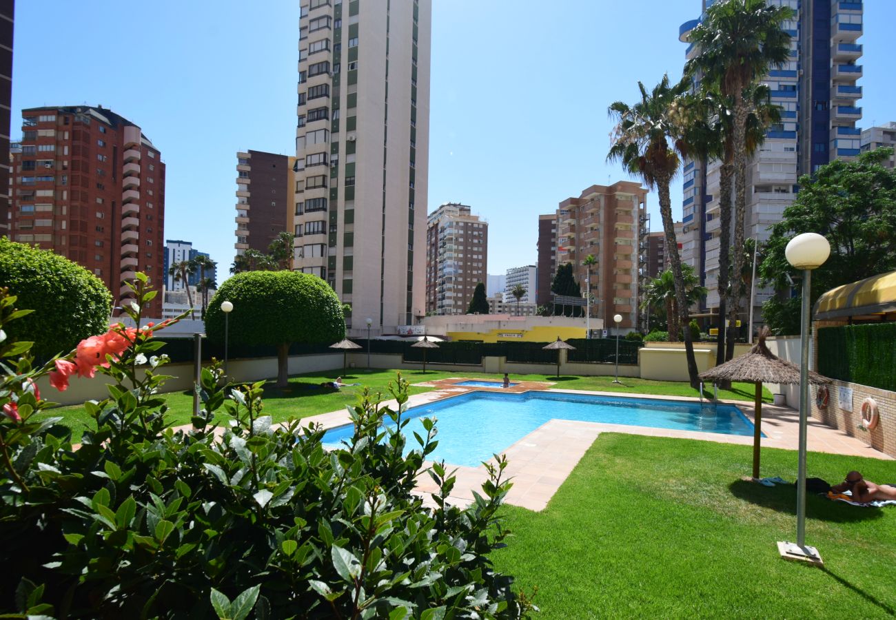 Apartamento en Benidorm - TORRE IPANEMA 9D