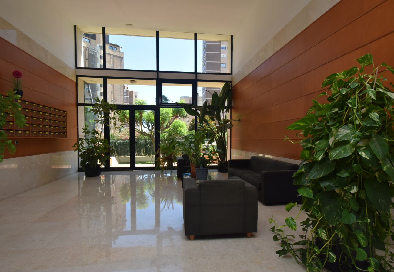 Apartamento en Benidorm - TORRE IPANEMA 9D