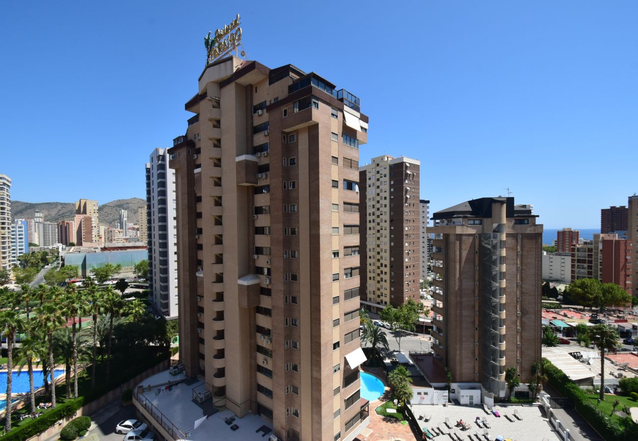Apartamento en Benidorm - TORRE IPANEMA 9D