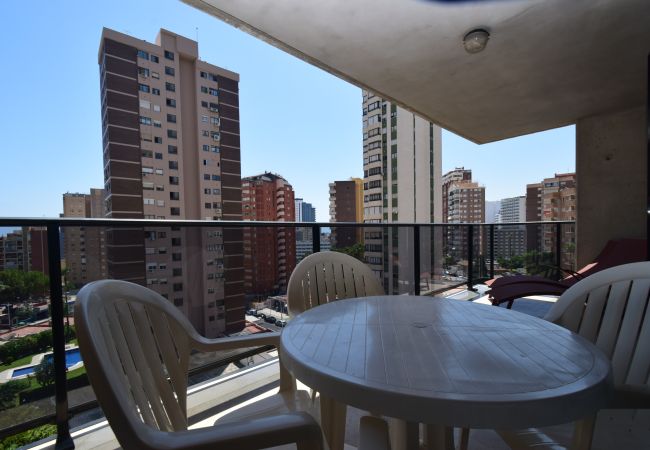 Apartamento en Benidorm - TORRE IPANEMA 6A - 1 DORMITORIO