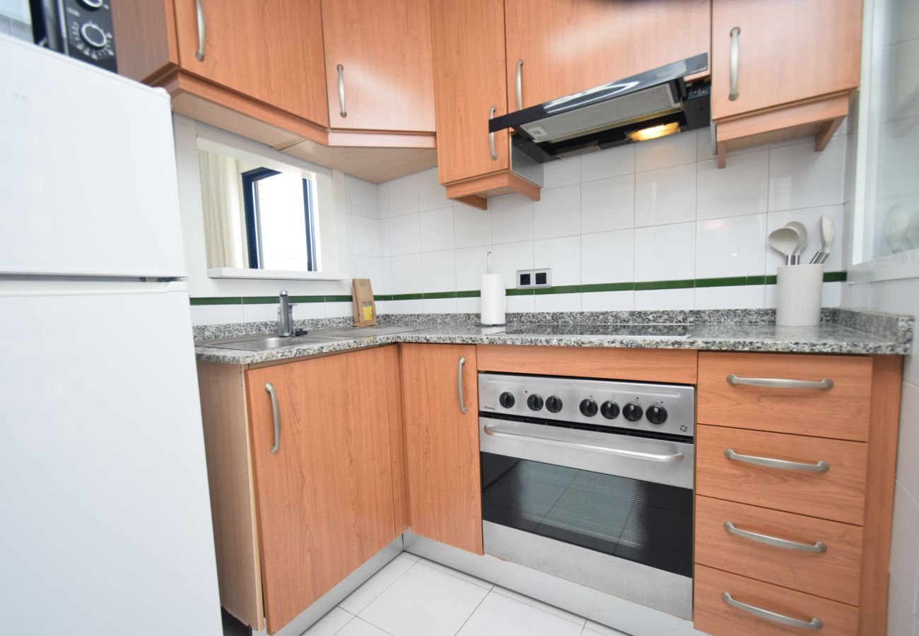 Apartamento en Benidorm - TORRE IPANEMA 6A - 1 DORMITORIO
