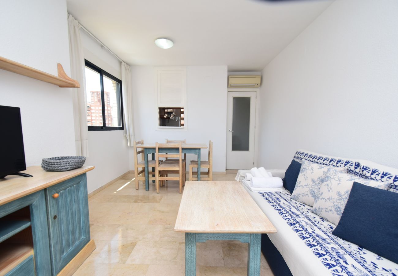 Apartamento en Benidorm - TORRE IPANEMA 6A - 1 DORMITORIO