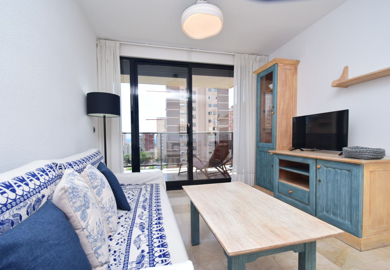 Apartamento en Benidorm - TORRE IPANEMA 6A - 1 DORMITORIO