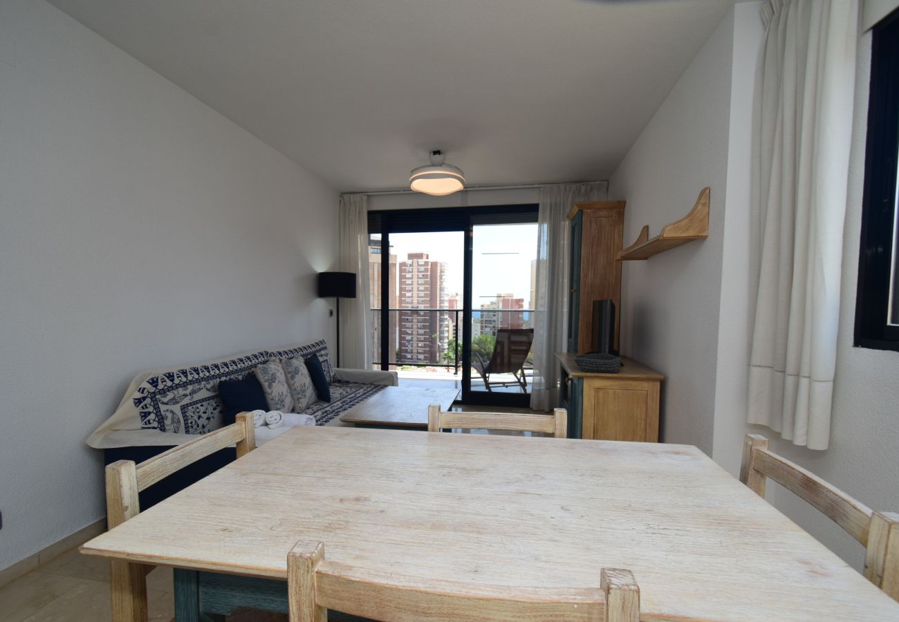 Apartamento en Benidorm - TORRE IPANEMA 6A - 1 DORMITORIO