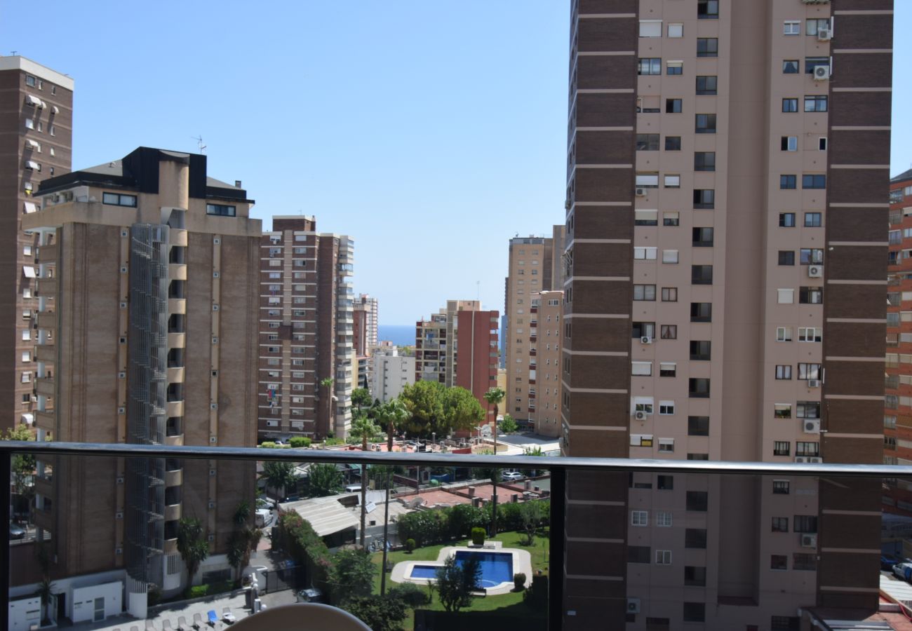 Apartamento en Benidorm - TORRE IPANEMA 6A - 1 DORMITORIO