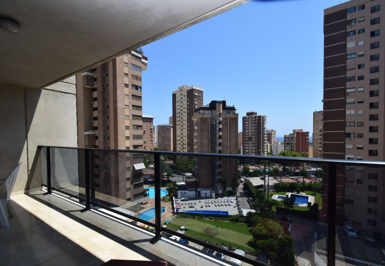 Apartamento en Benidorm - TORRE IPANEMA 6A - 1 DORMITORIO