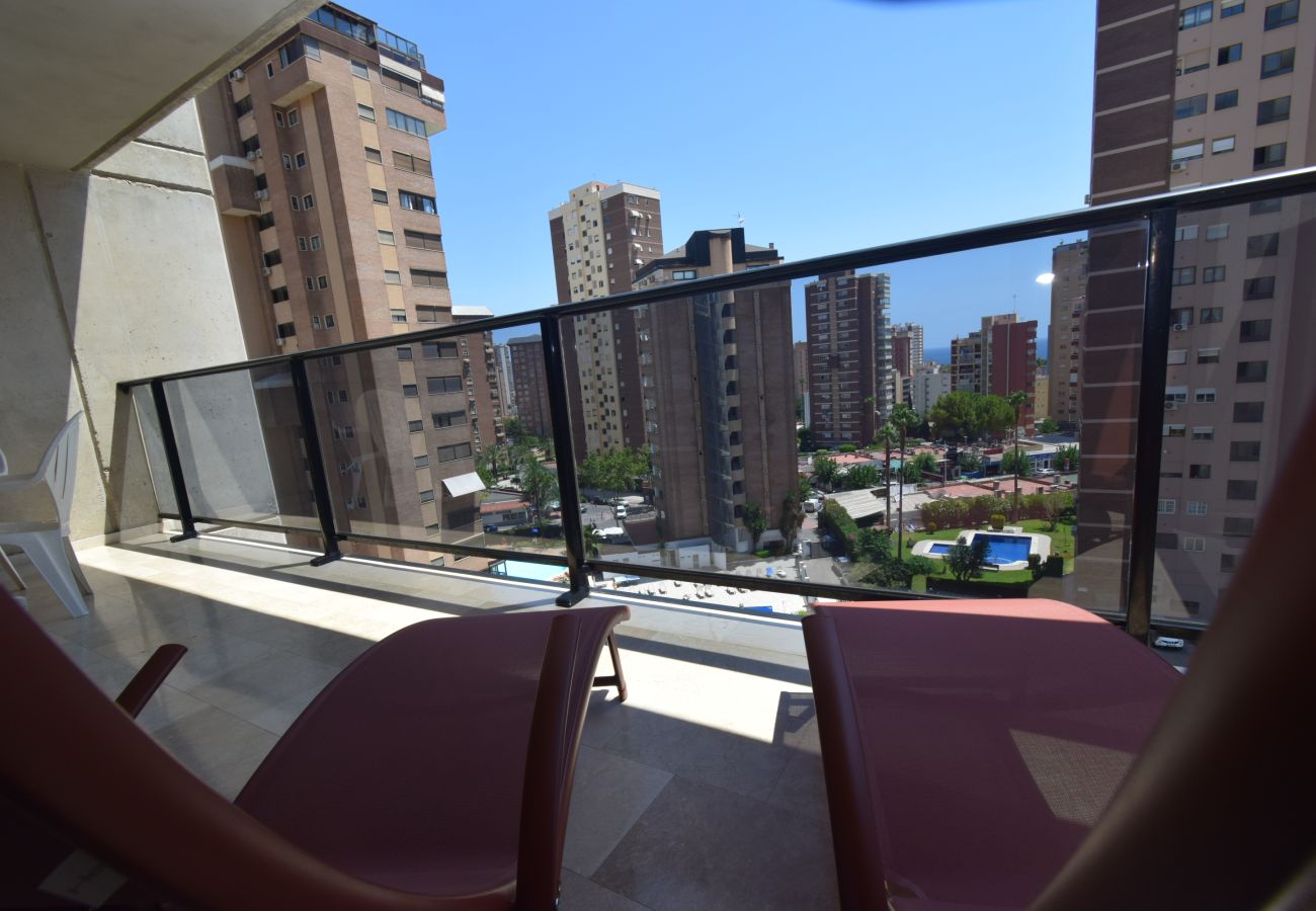 Apartamento en Benidorm - TORRE IPANEMA 6A - 1 DORMITORIO
