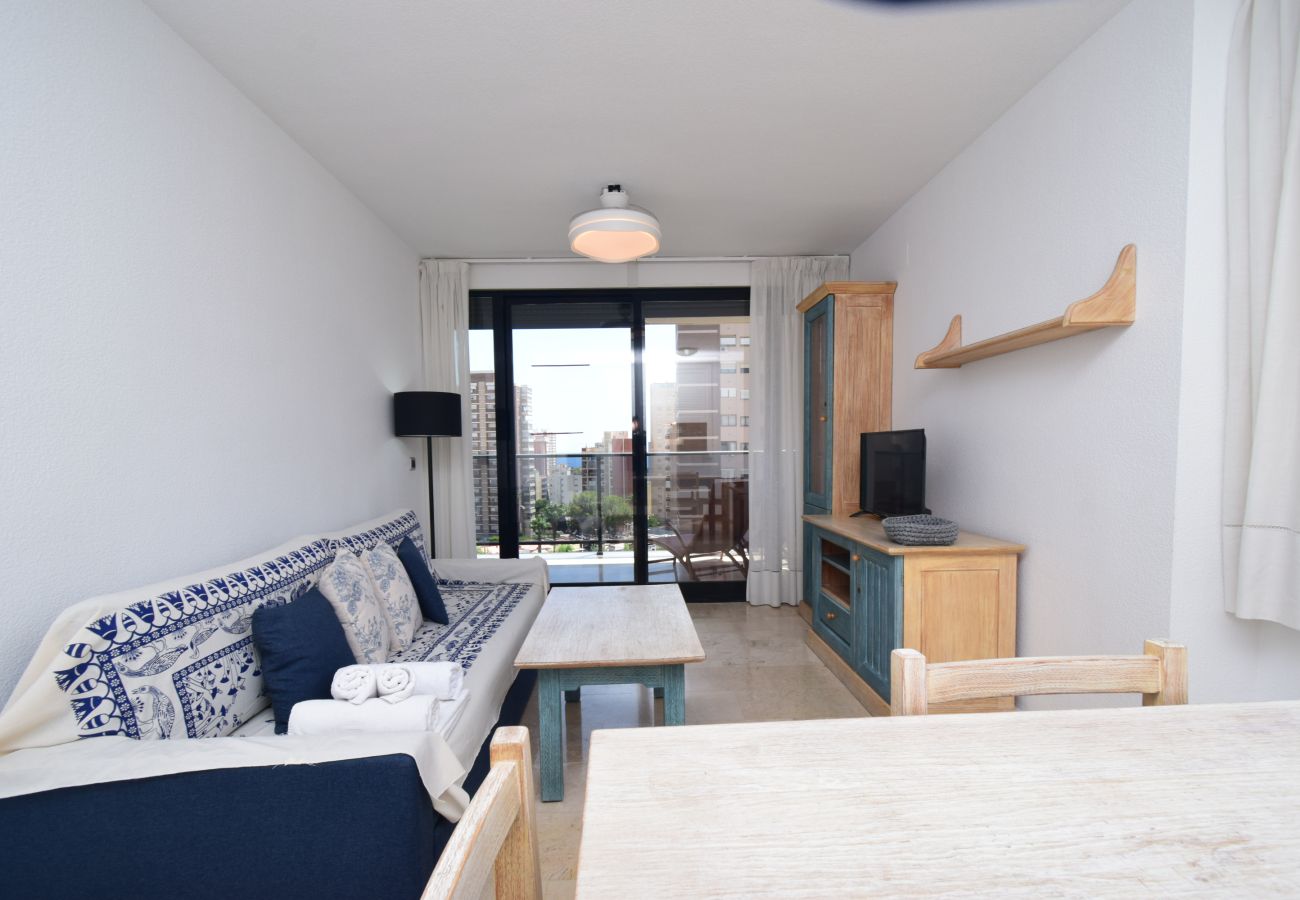 Apartamento en Benidorm - TORRE IPANEMA 6A - 1 DORMITORIO