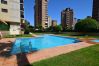 Apartamento en Benidorm - TORRE IPANEMA 6A - 1 DORMITORIO