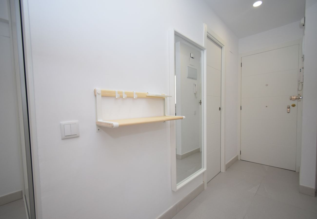Estudio en Benidorm - MARCONI (ESTUDIO)