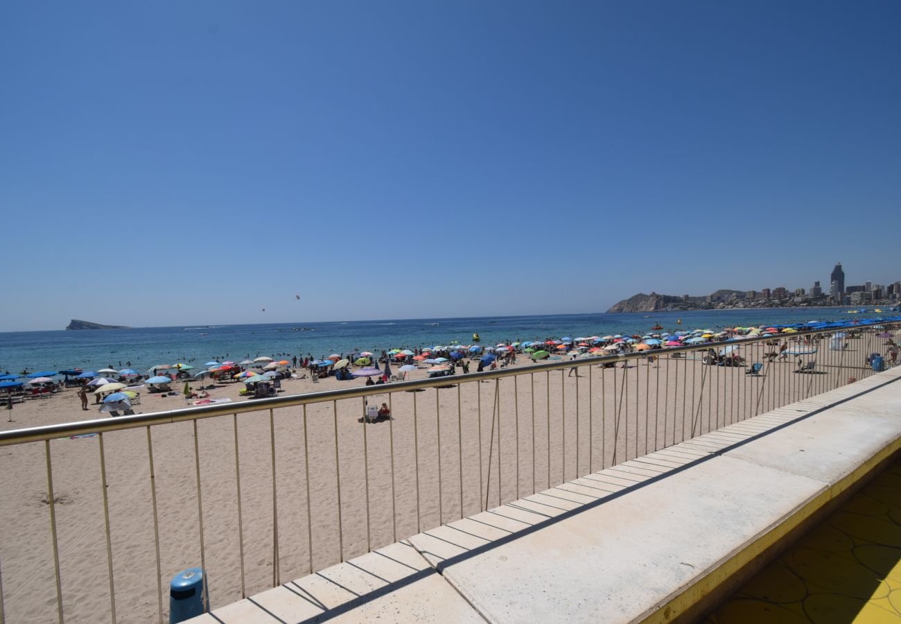 Estudio en Benidorm - MARCONI (ESTUDIO)
