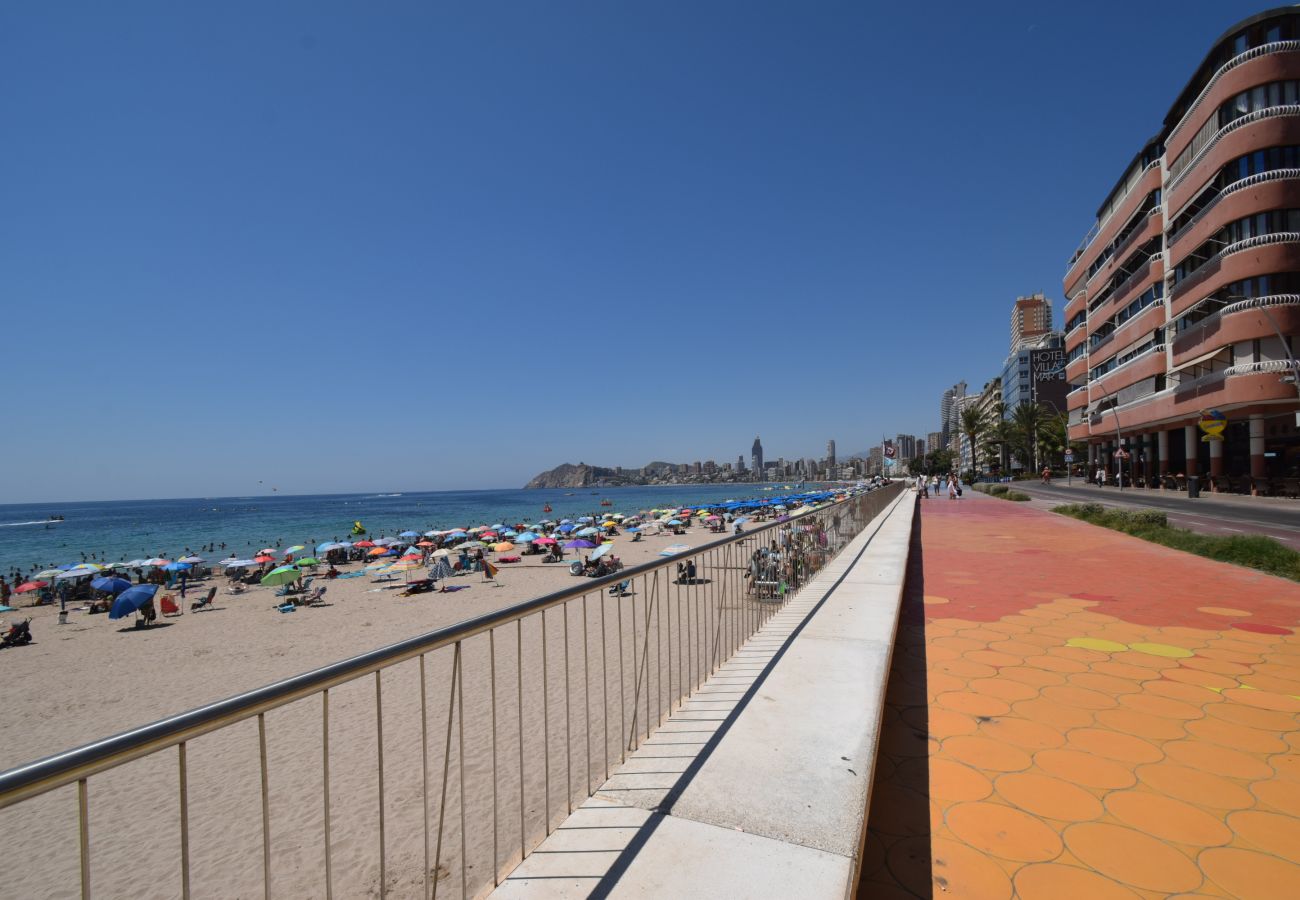 Estudio en Benidorm - MARCONI (ESTUDIO)