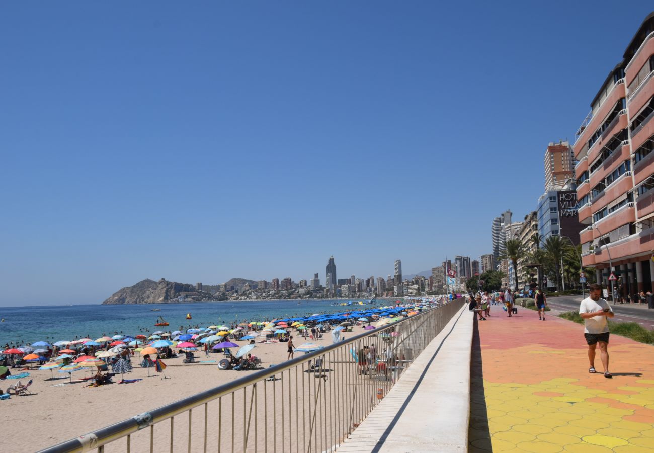 Estudio en Benidorm - MARCONI (ESTUDIO)