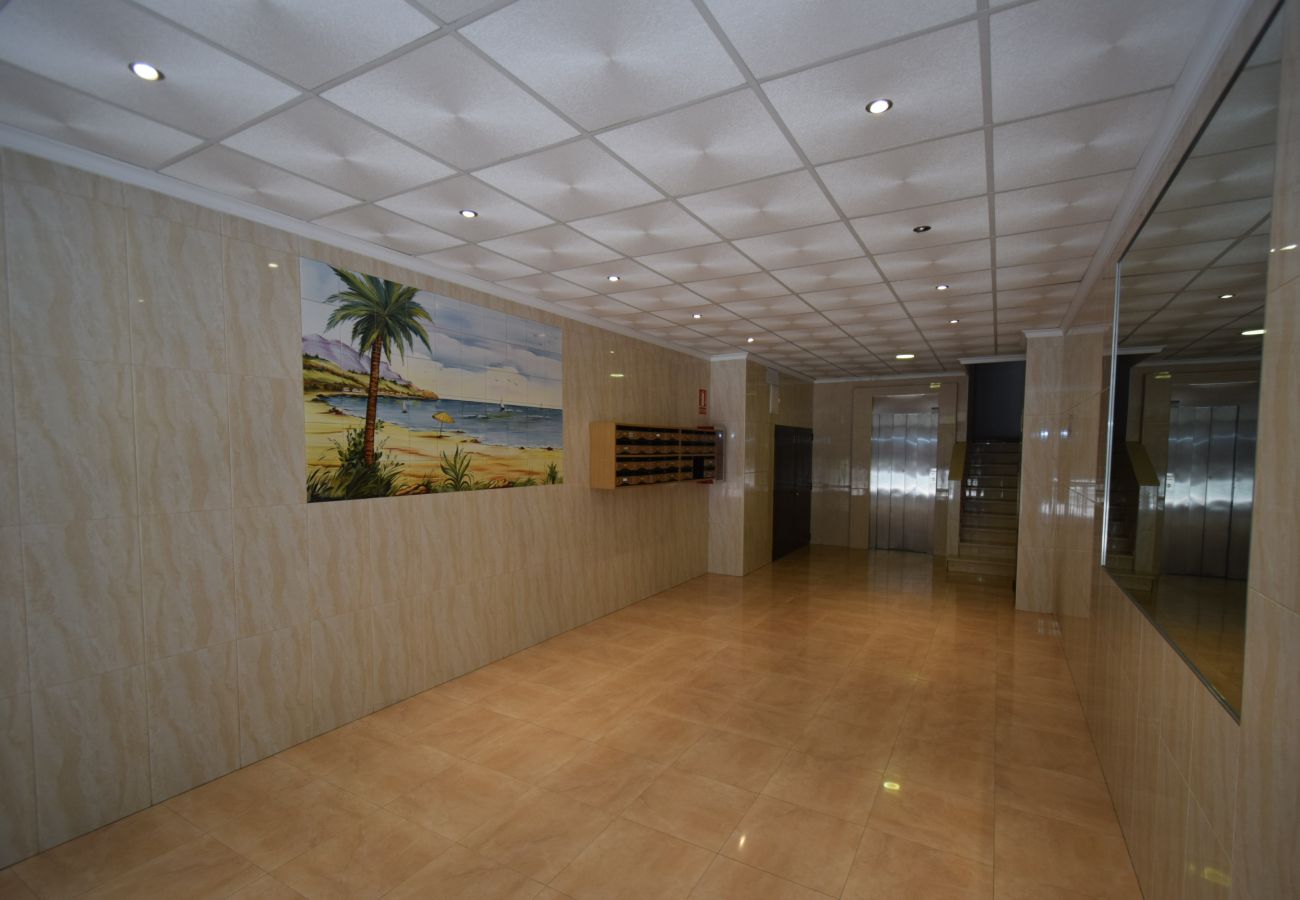Estudio en Benidorm - MARCONI (ESTUDIO)