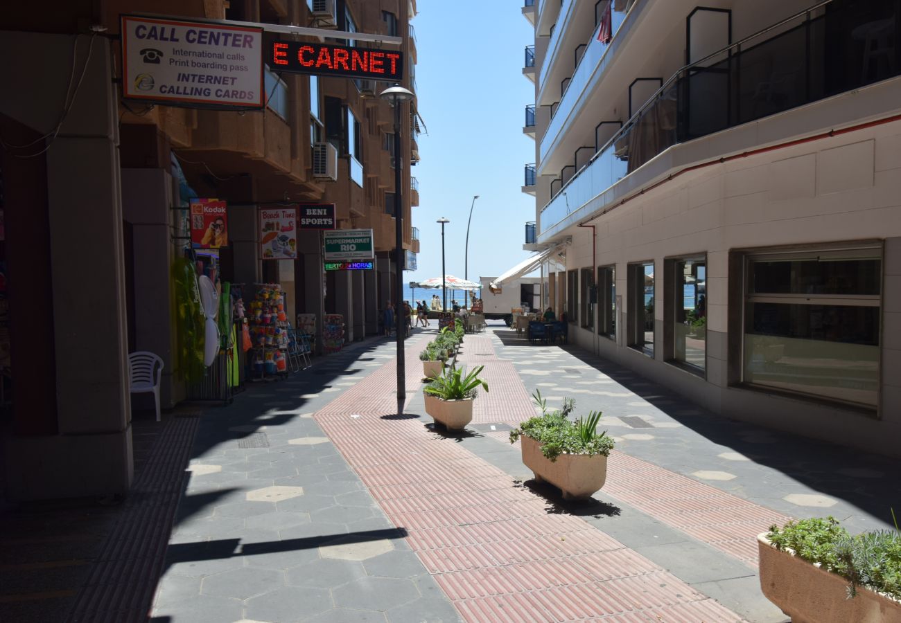 Estudio en Benidorm - MARCONI (ESTUDIO)