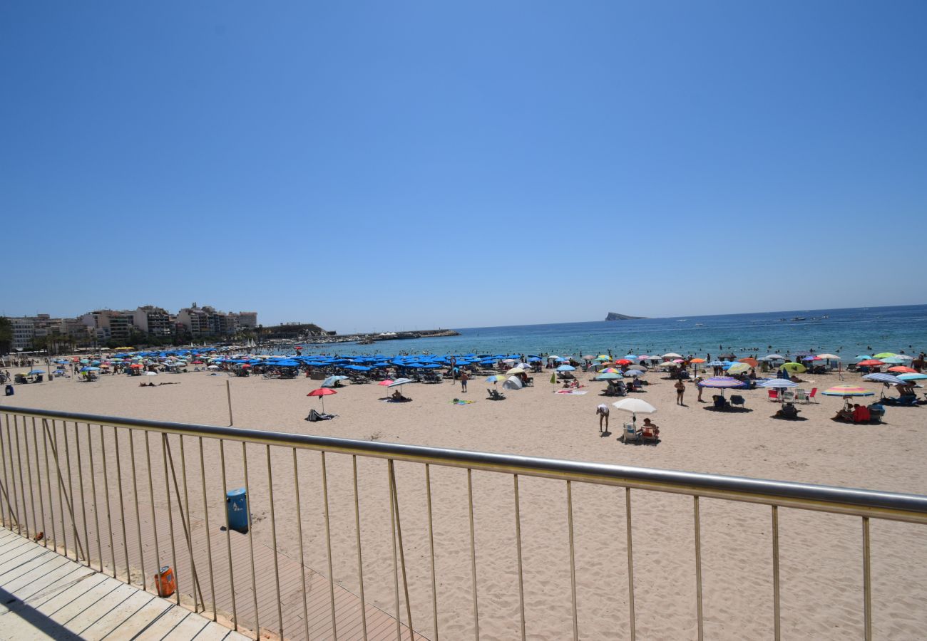 Estudio en Benidorm - MARCONI (ESTUDIO)