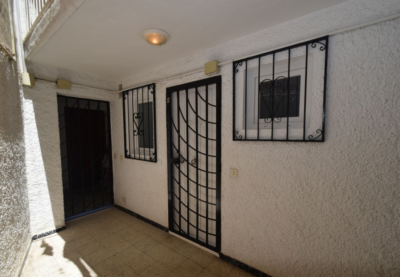 Estudio en Benidorm - MARCONI (ESTUDIO)