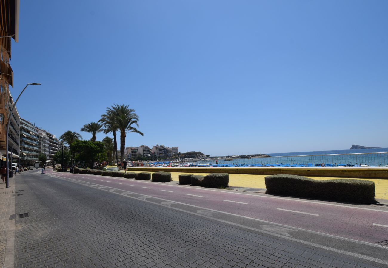 Estudio en Benidorm - MARCONI (ESTUDIO)