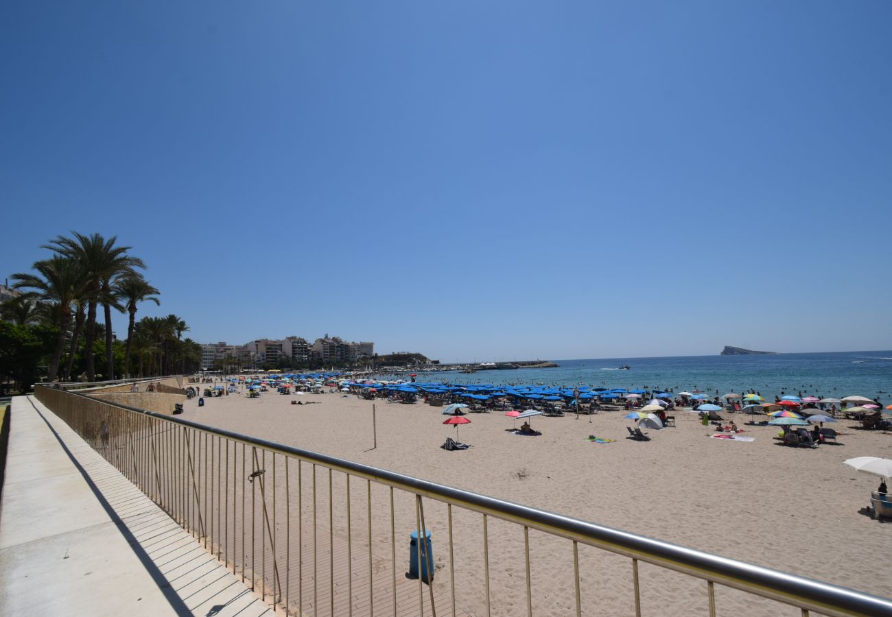 Estudio en Benidorm - MARCONI (ESTUDIO)
