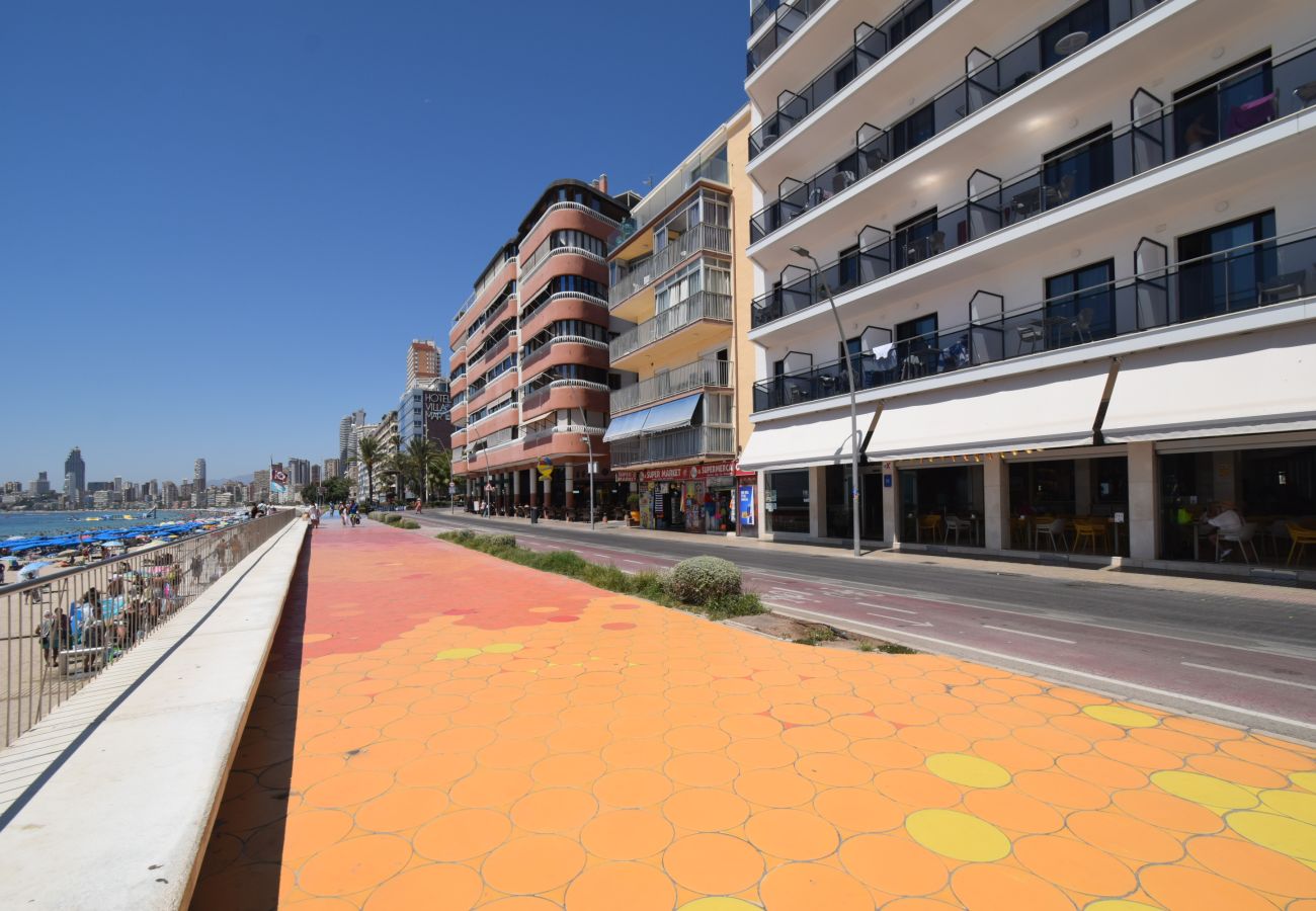 Estudio en Benidorm - MARCONI (ESTUDIO)
