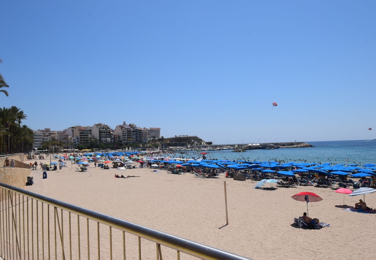 Estudio en Benidorm - MARCONI (ESTUDIO)