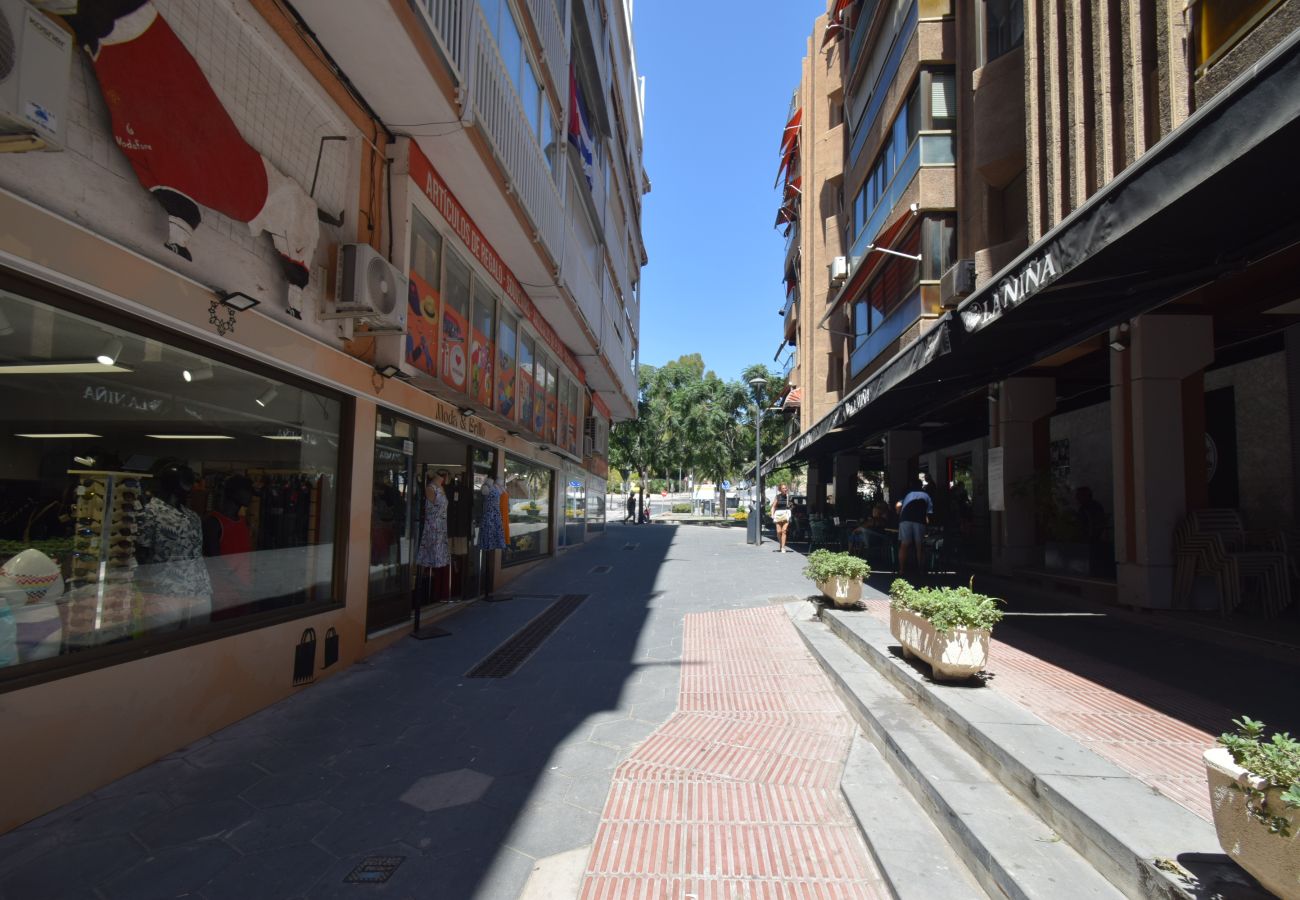 Estudio en Benidorm - MARCONI (ESTUDIO)