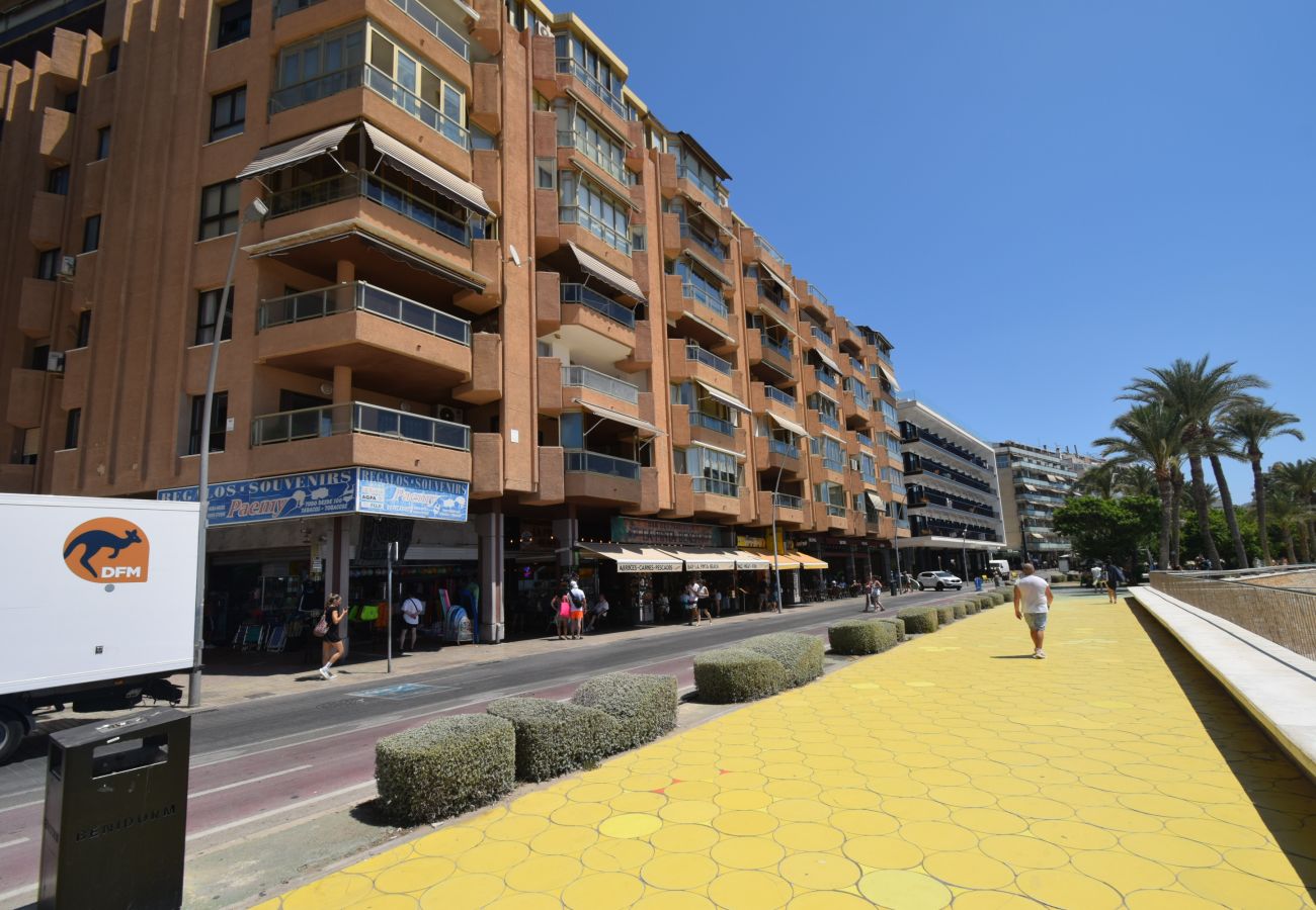 Estudio en Benidorm - MARCONI (ESTUDIO)