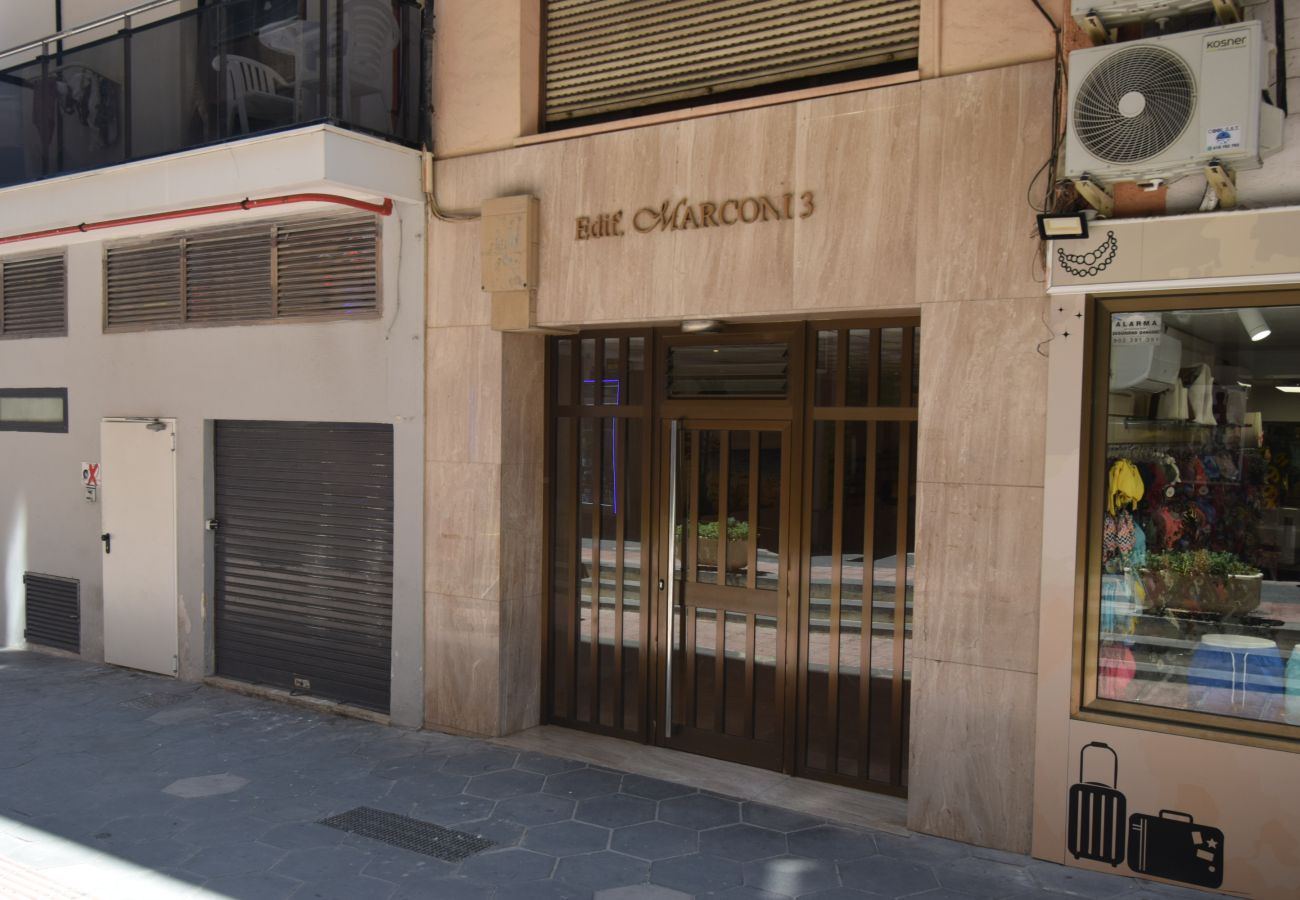 Estudio en Benidorm - MARCONI (ESTUDIO)