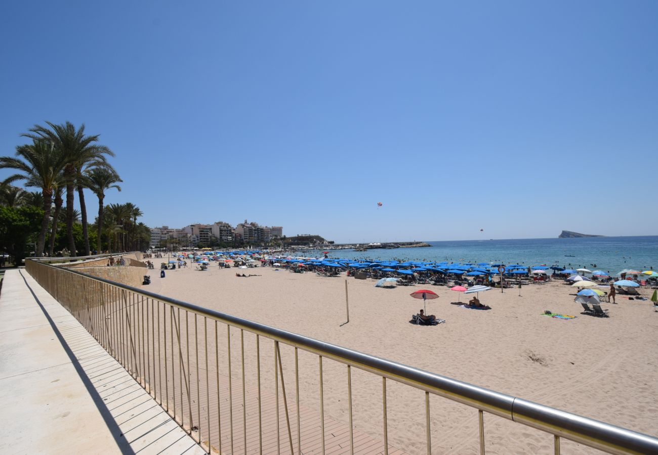 Estudio en Benidorm - MARCONI (ESTUDIO)