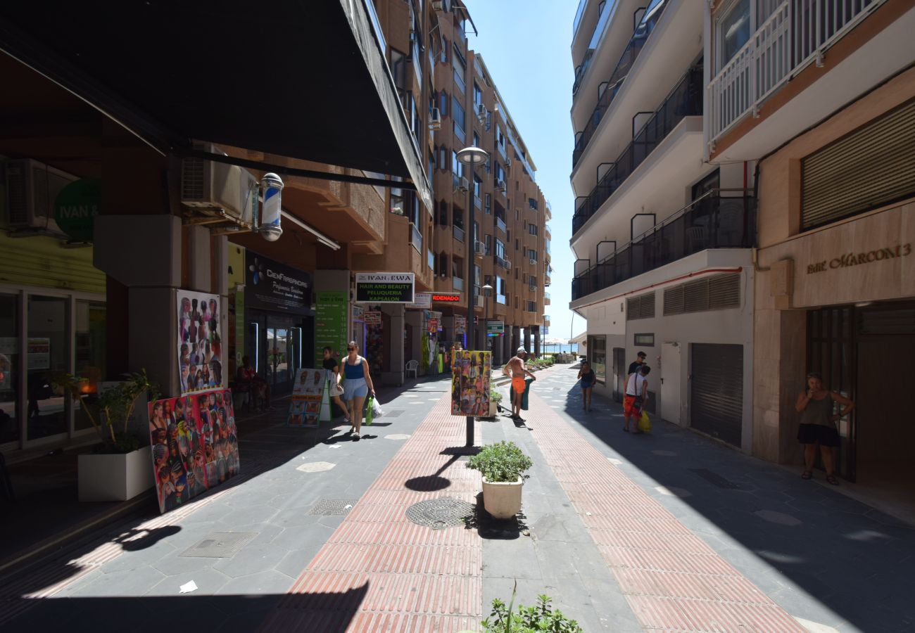 Estudio en Benidorm - MARCONI (ESTUDIO)