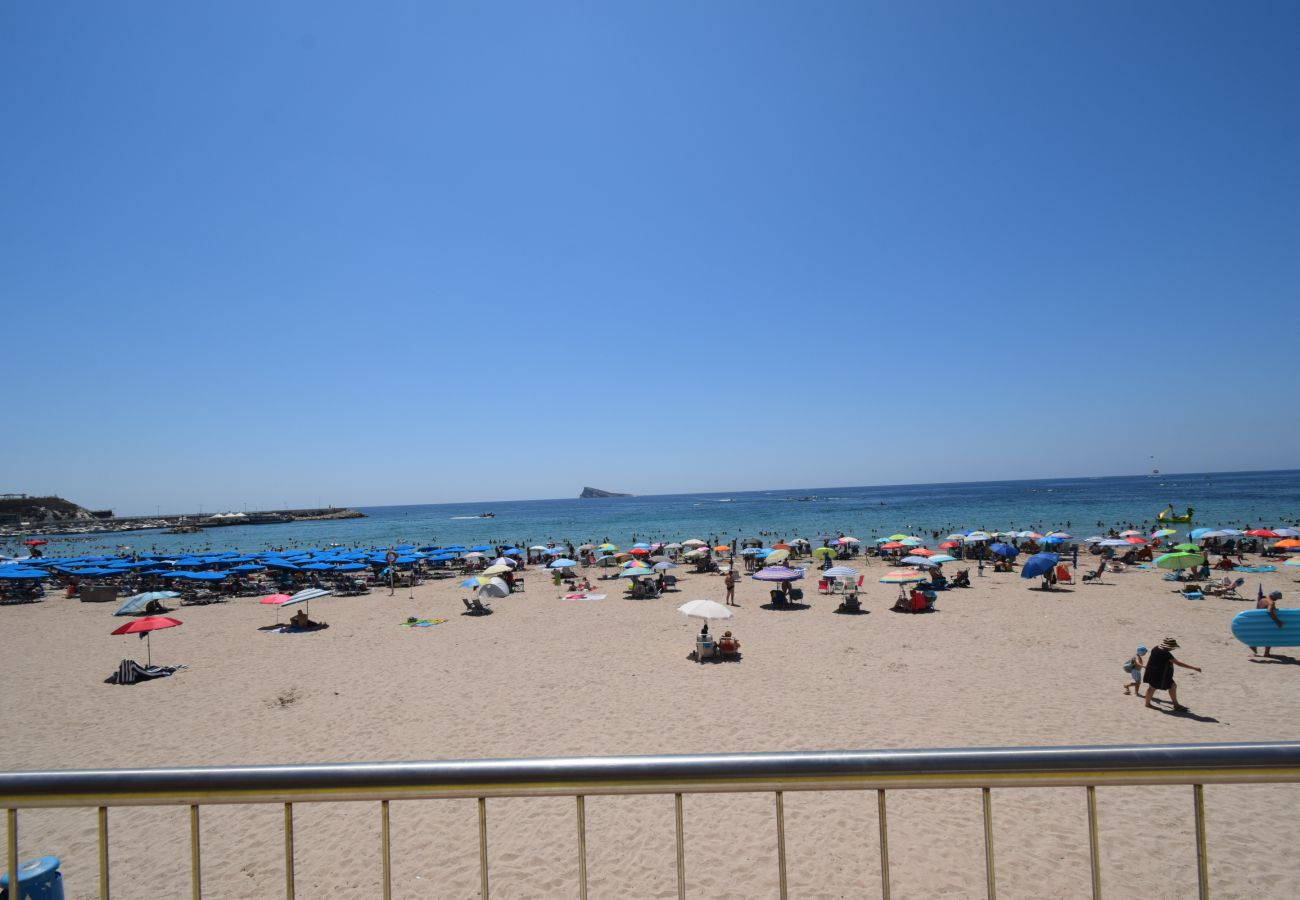 Estudio en Benidorm - MARCONI (ESTUDIO)