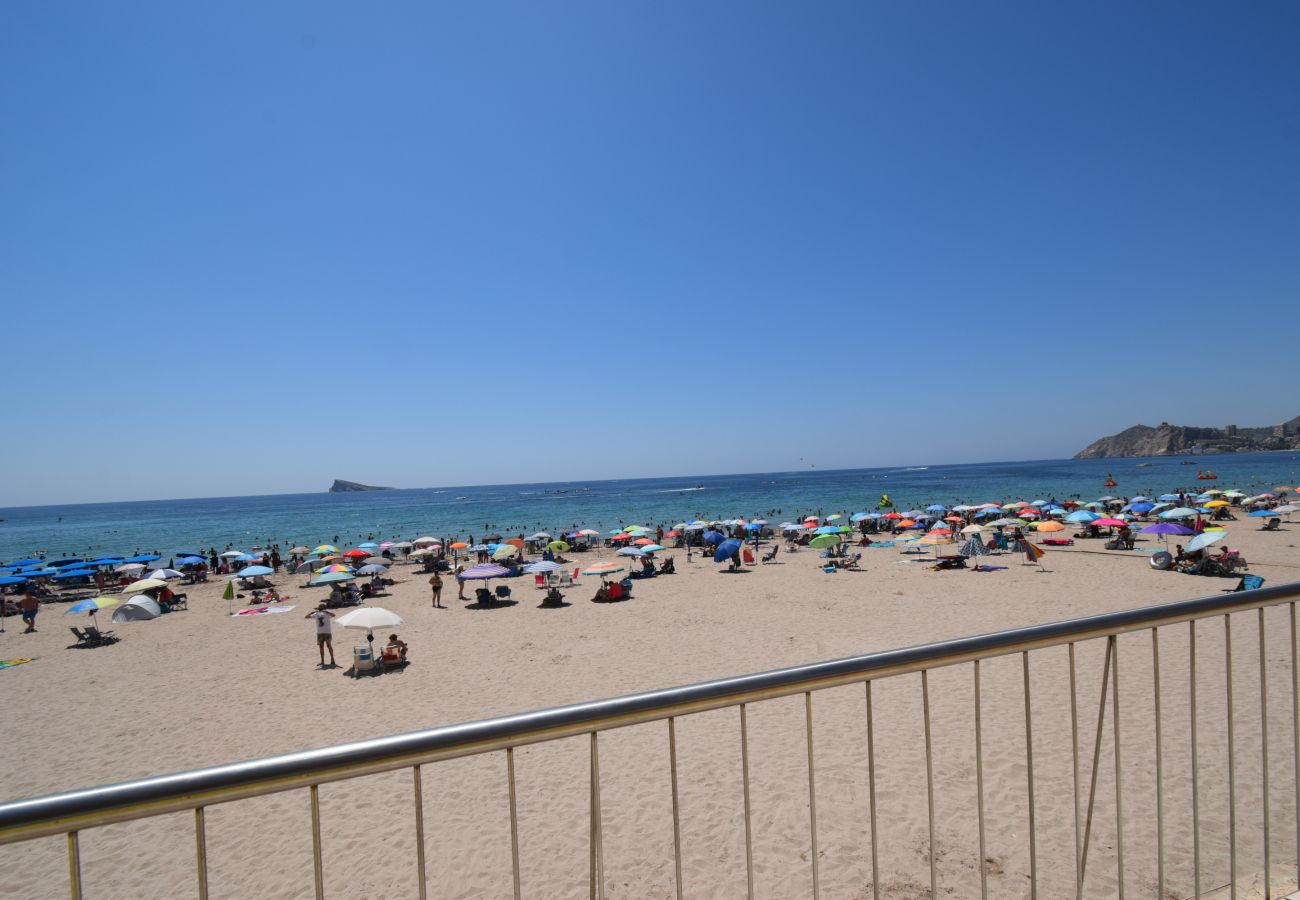 Estudio en Benidorm - MARCONI (ESTUDIO)
