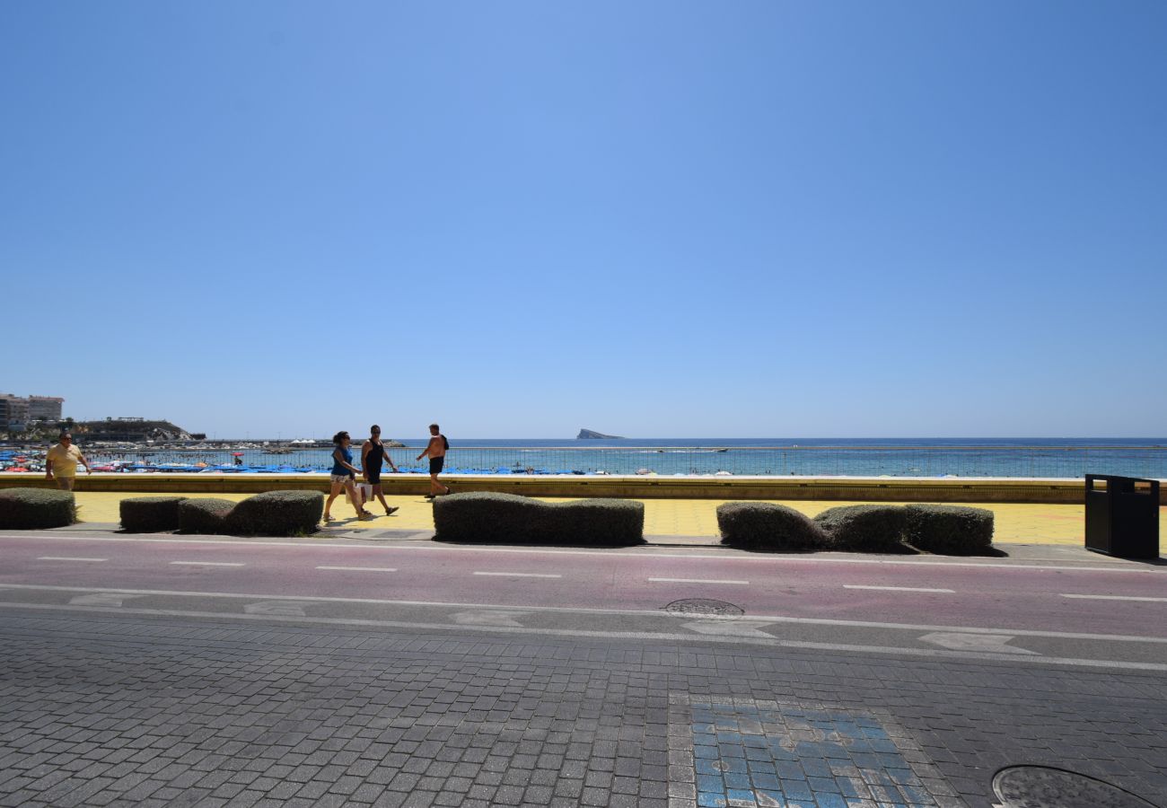 Estudio en Benidorm - MARCONI (ESTUDIO)