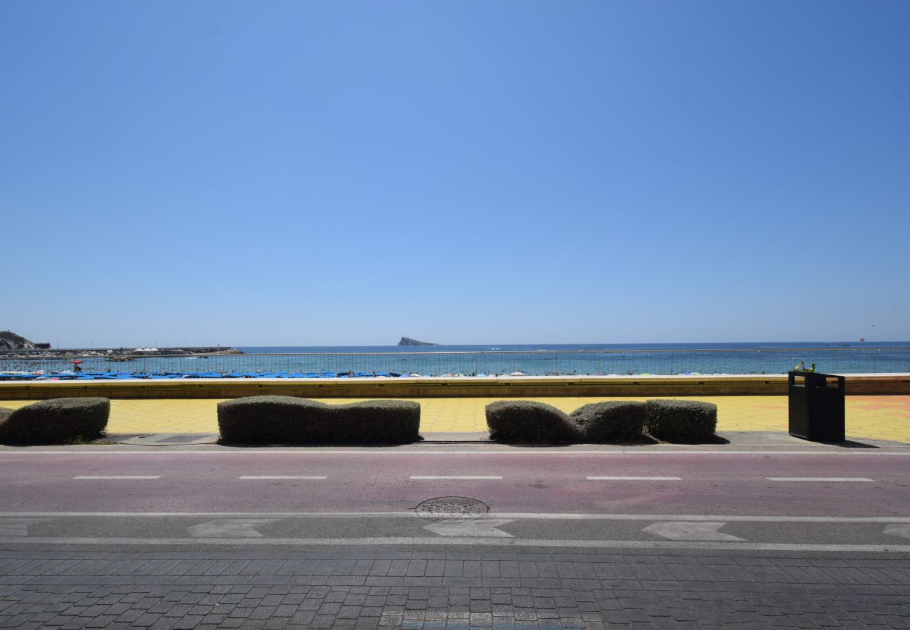 Estudio en Benidorm - MARCONI (ESTUDIO)