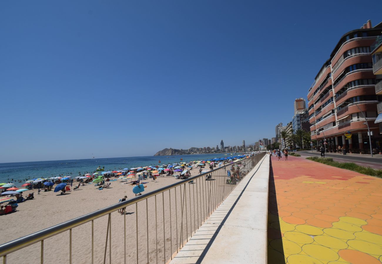 Estudio en Benidorm - MARCONI (ESTUDIO)