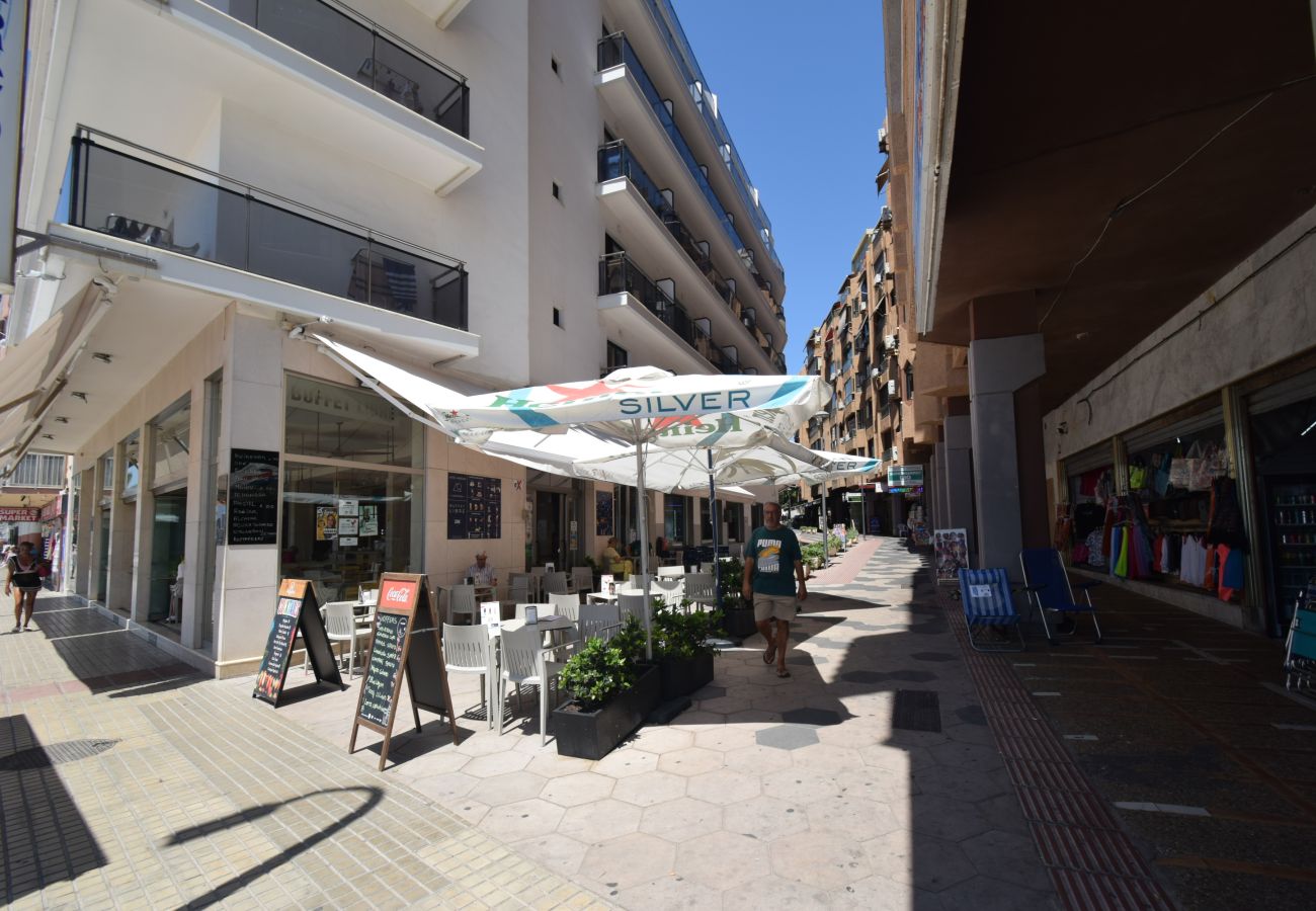 Estudio en Benidorm - MARCONI (ESTUDIO)