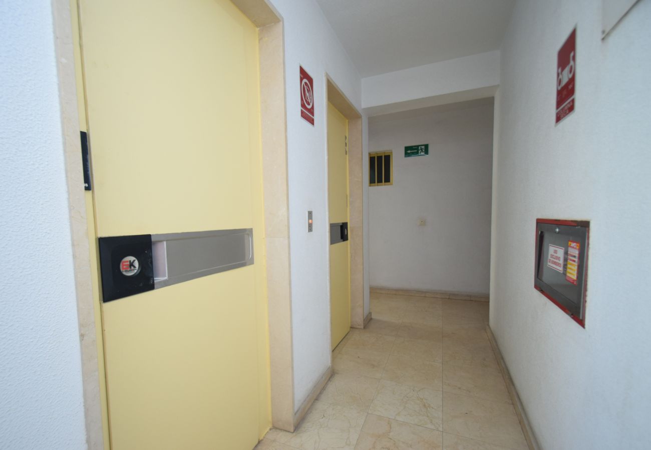 Apartamento en Benidorm - TORRE GERONA ( 2 DORMITORIOS) - 5 PAX