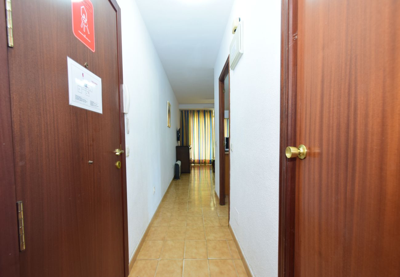 Apartamento en Benidorm - TORRE GERONA ( 2 DORMITORIOS) - 5 PAX