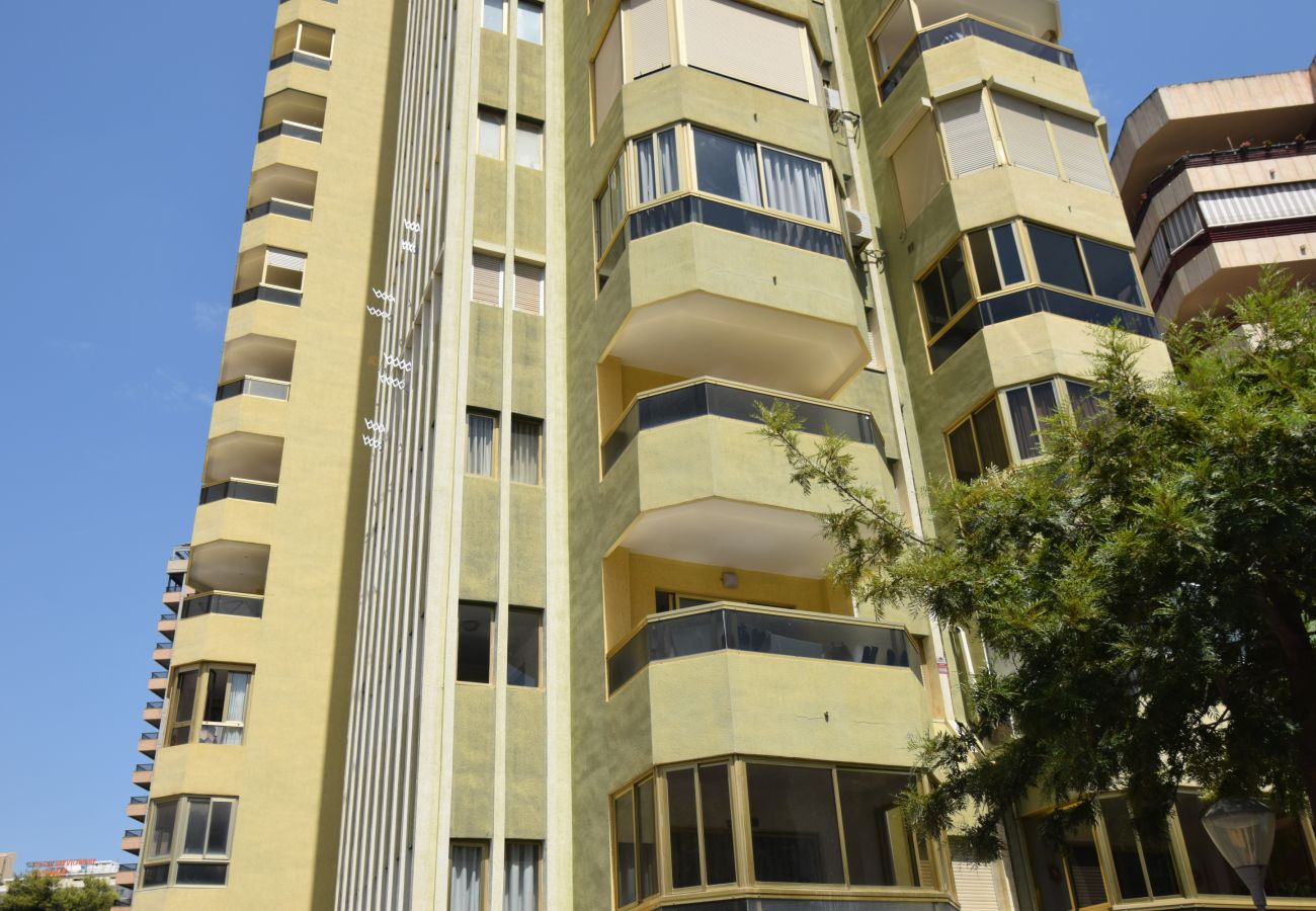 Apartamento en Benidorm - TORRE GERONA ( 2 DORMITORIOS) - 5 PAX
