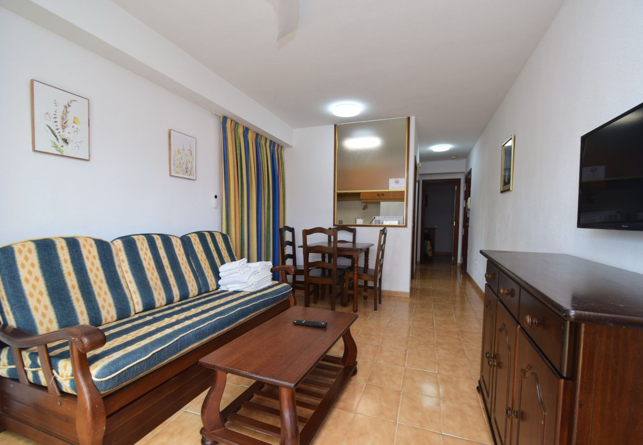 Apartamento en Benidorm - TORRE GERONA ( 2 DORMITORIOS) - 5 PAX