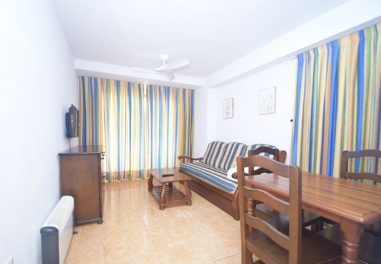 Apartamento en Benidorm - TORRE GERONA ( 2 DORMITORIOS) - 5 PAX